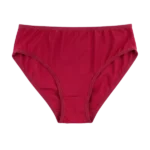 Maroon Cotton Brief Panty - Arvia
